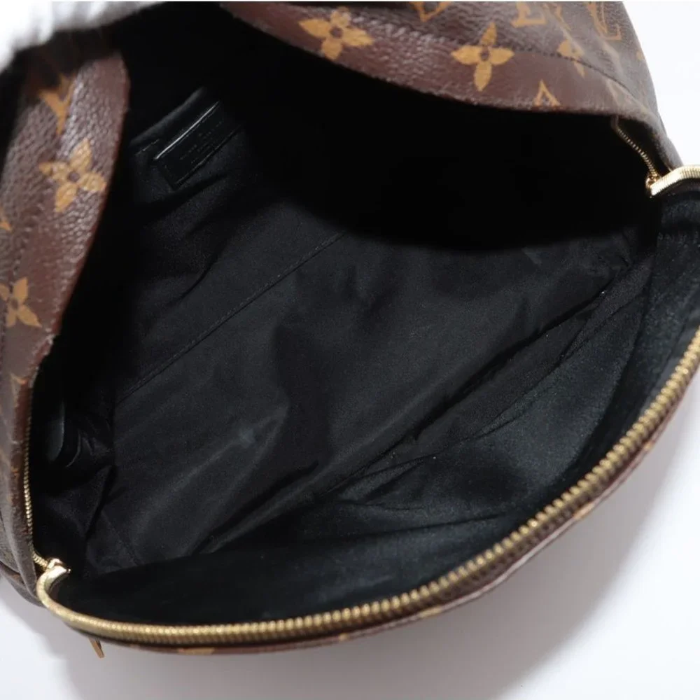 Louis Vuitton Palm Springs MM Monogram Backpack - Picture 9 of 16